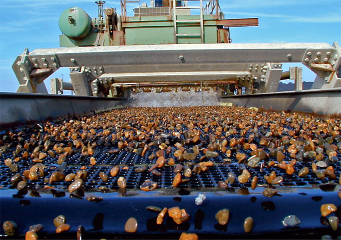 Pyntegrus på en stor sold