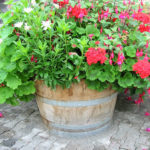 En beplantet halv vintønde