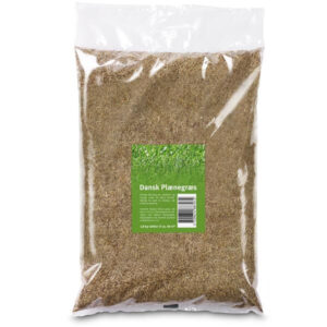 Dansk plænegræs