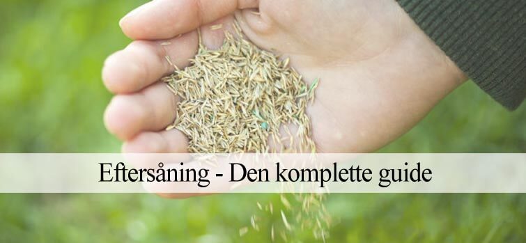 Eftersåning guide