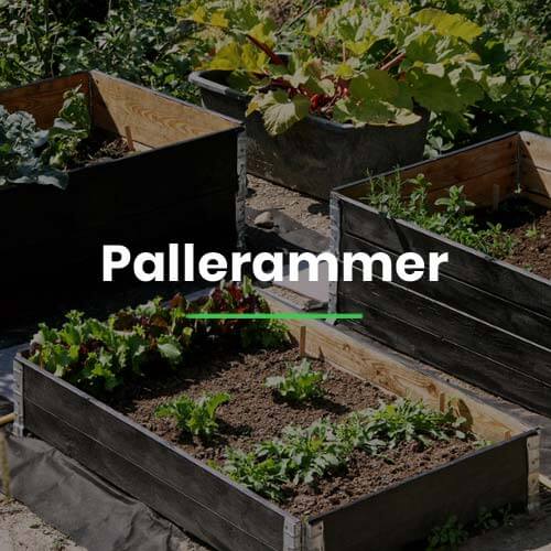 pallerammer