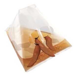 Sneglefælde fra HORTUS