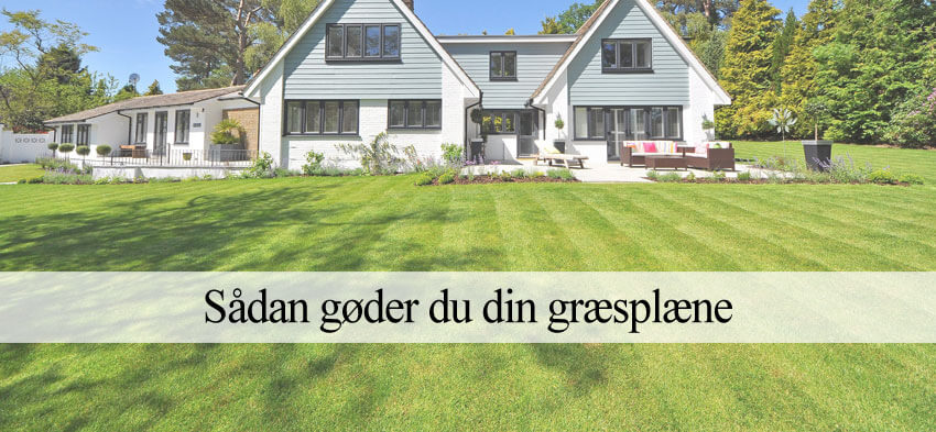 græsplæne gødning