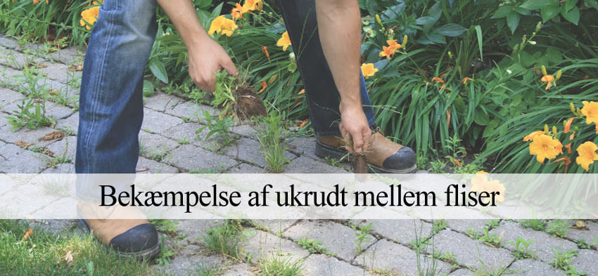 Fjerne ukrudt mellem fliser