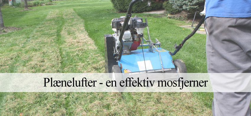 Vertikalskærer og plænelufter mod mos i græsplænen