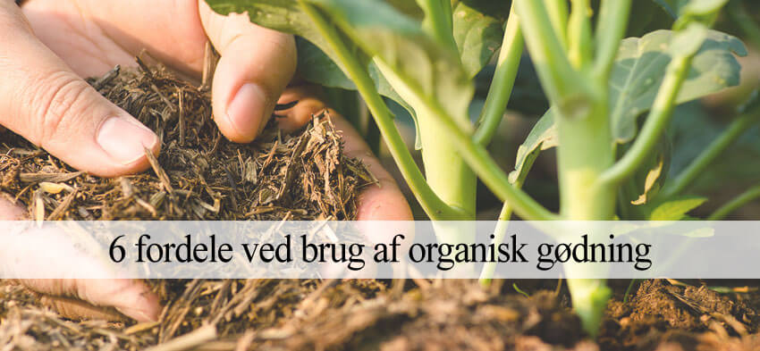 Organisk naturlig gødning
