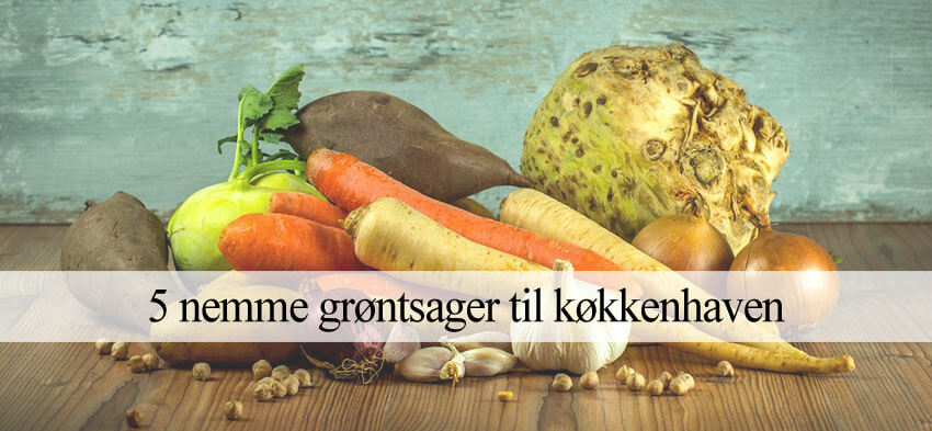 nemme grøntsager at dyrke