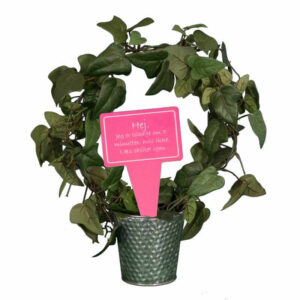 sjovt planteskilt - hej