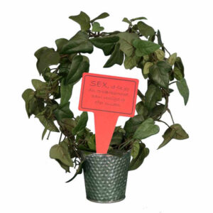 sjovt planteskilt - sex