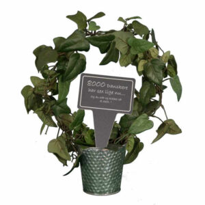 sjovt planteskilt - 8000 danskere