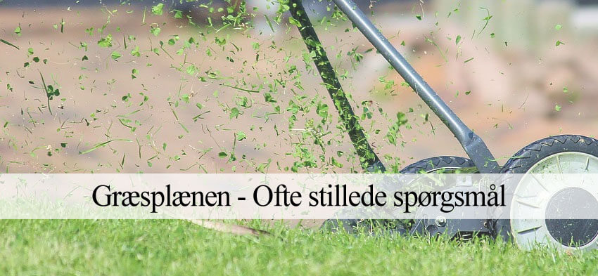 græsplæne spørgsmål