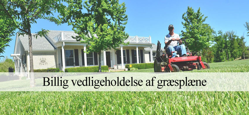 græsklipning erhverv