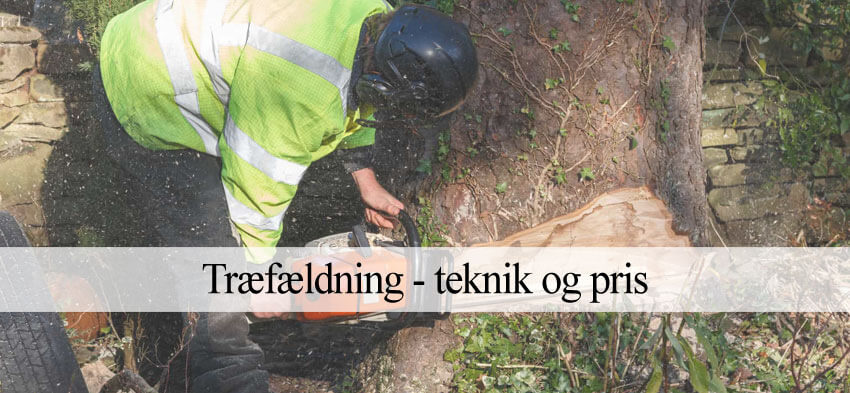 træfældning pris