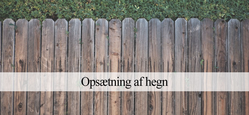 opsætning af hegn
