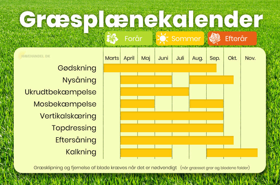 græsplæne kalender
