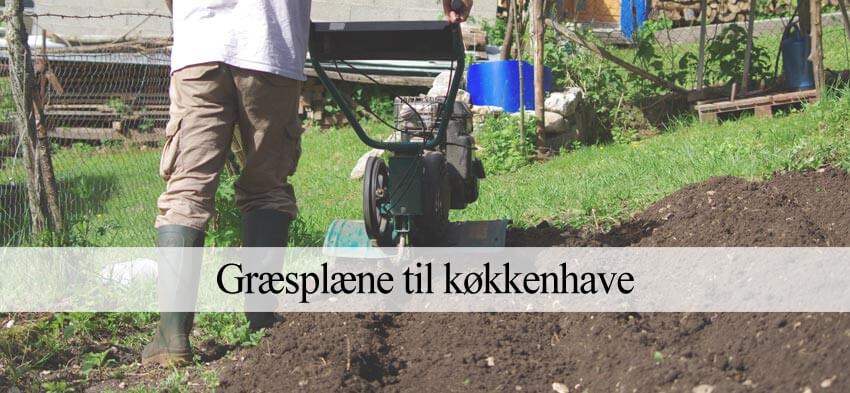 græsplæne til køkkenhave