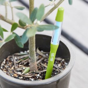 fugtighedsmåler til krukker