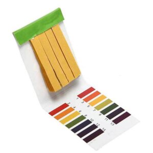 ph strips test