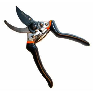 billig beskærersaks