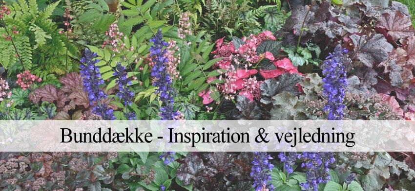 Bunddække