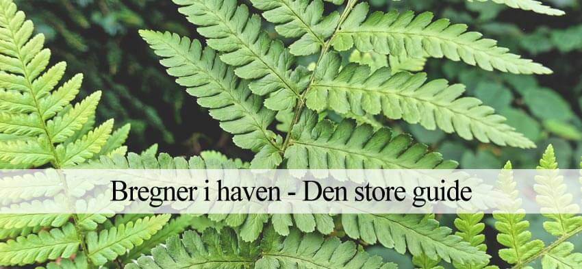 bregner til haven