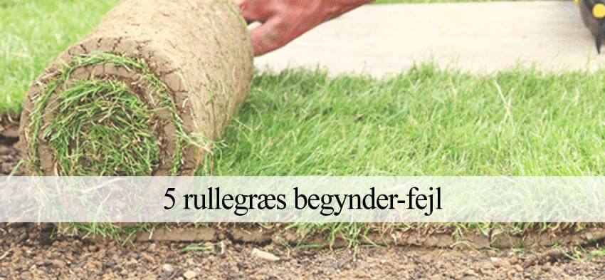 gør-det-selv fejl rullegræs