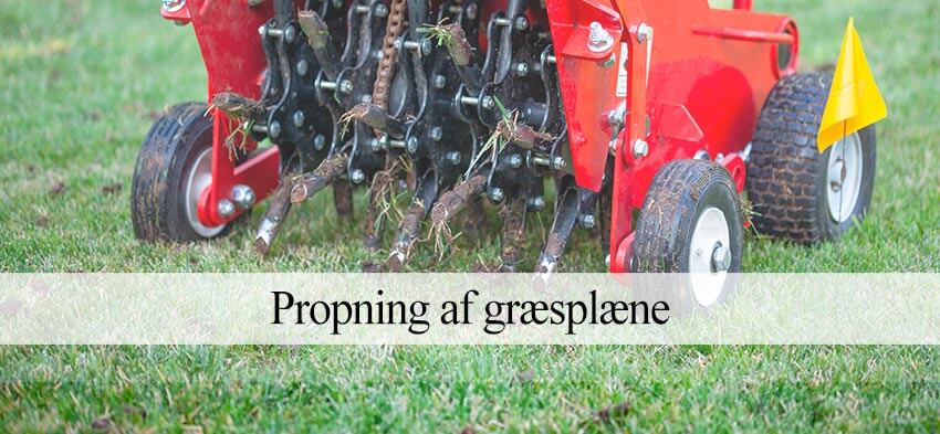proppe græsplænen med en aerator