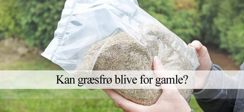 For gamle græsfrø
