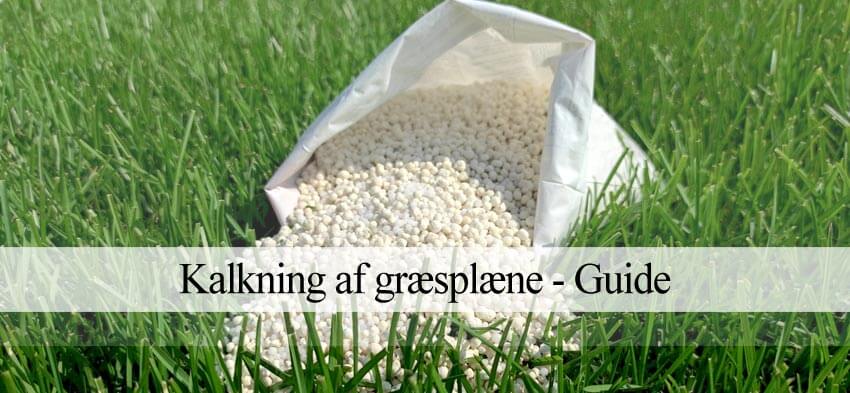 kalke græsplæne