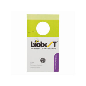 Snyltehvepse mod mellus