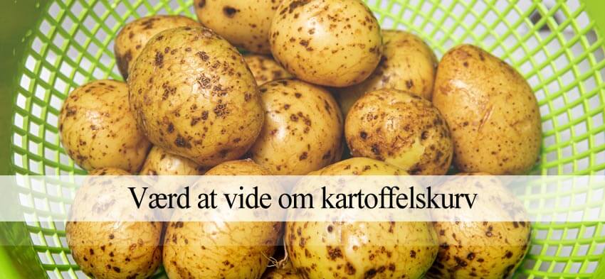 kartoffelskurv