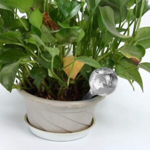 selvvandings kolbe til potteplanter