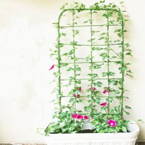 espalier til krukker